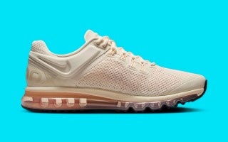 NIKE★AIR MAX 2013★PALE IVORY/GUAVA ICE/CRIMSON TINT/BLACK Nike Air Max 2013 Pale Ivory Guava Ice Crimson Tint Black
